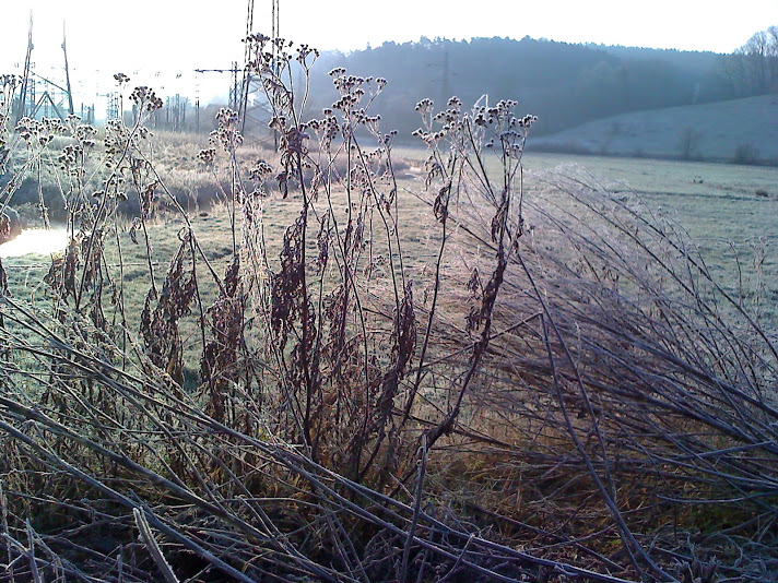 EISMORGEN