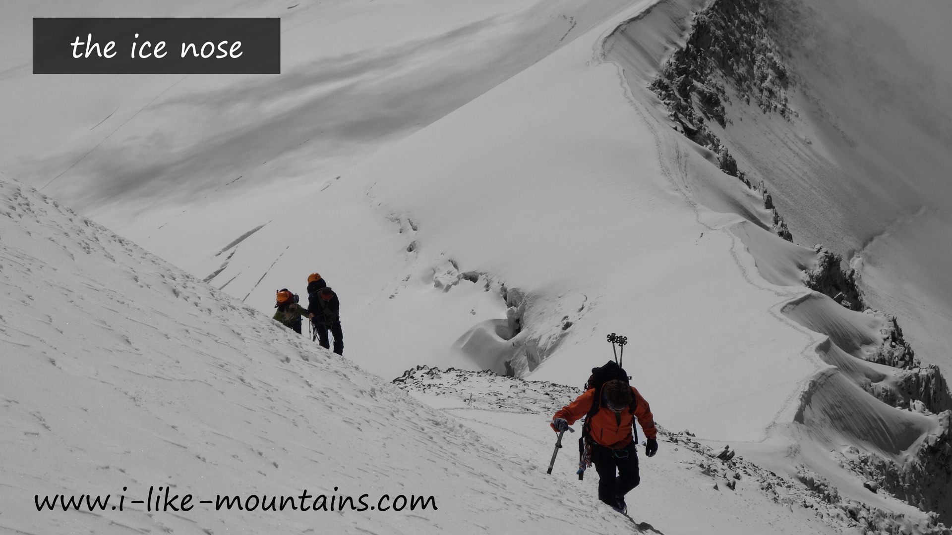 Eisnase am Alphubel (4206m)