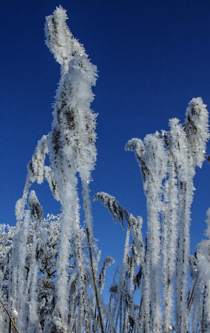 Eisnaturskulptur