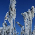 Eisnaturskulptur