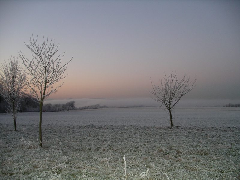 Eisnebel