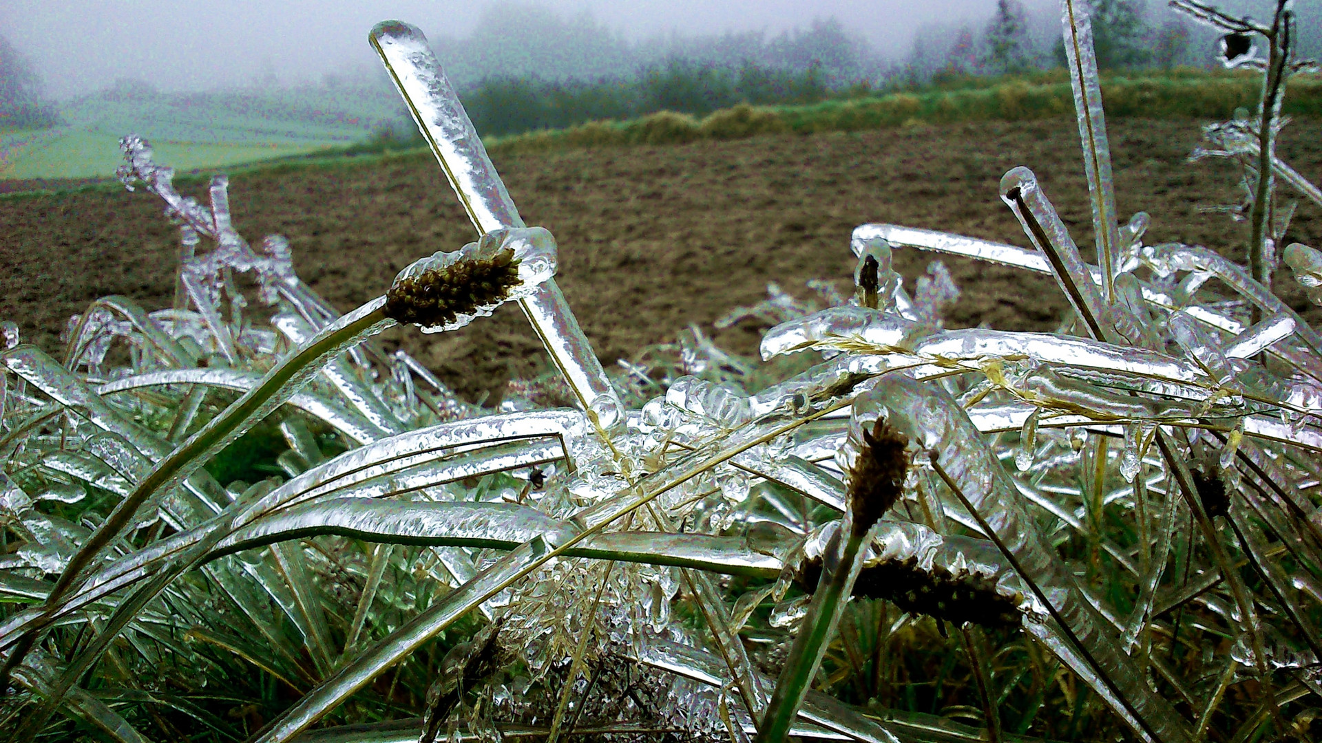 Eisnebel 