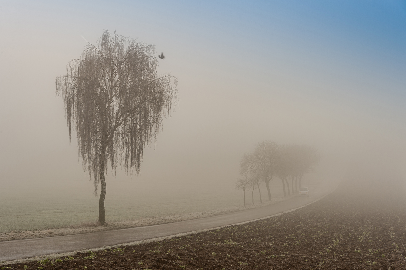 Eisnebel