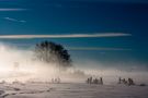 EisNebel von Marcel Lachmuth 