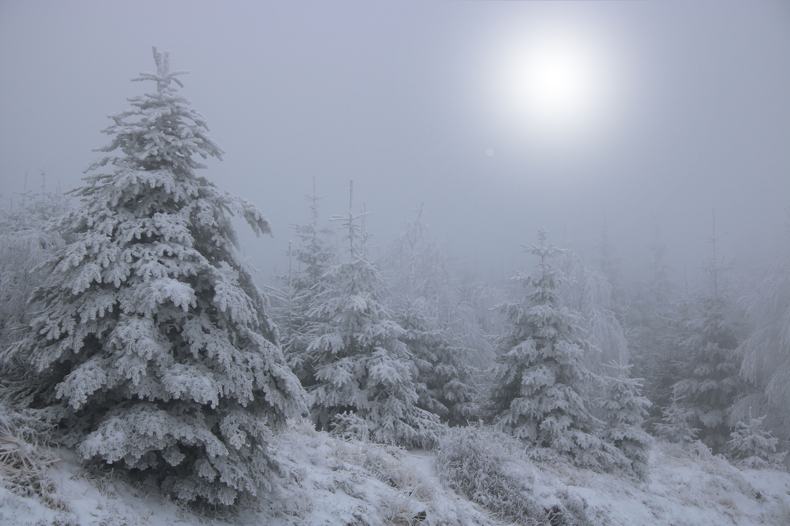 Eisnebel