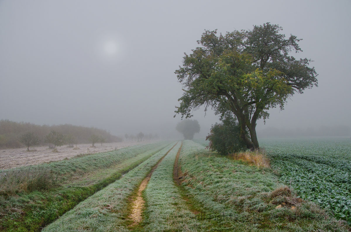 Eisnebel