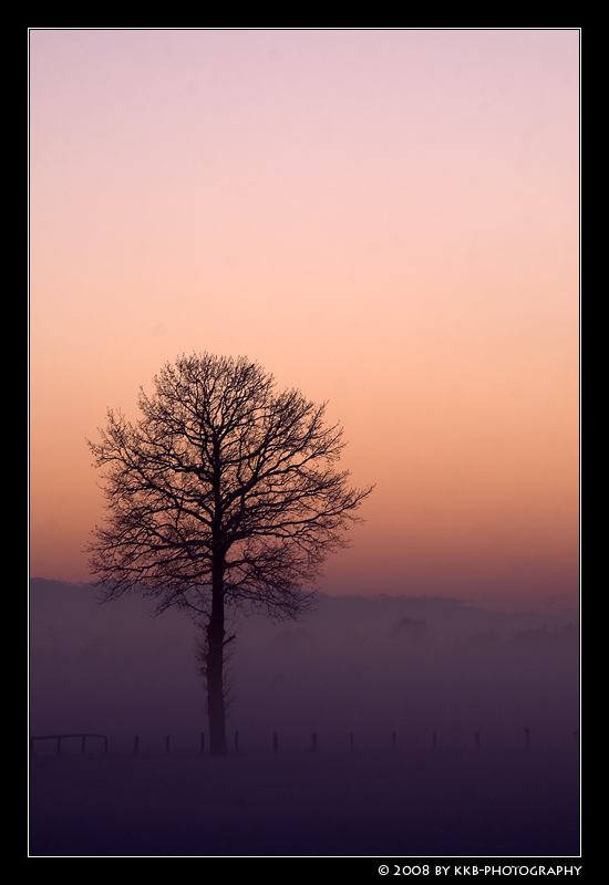 Eisnebel