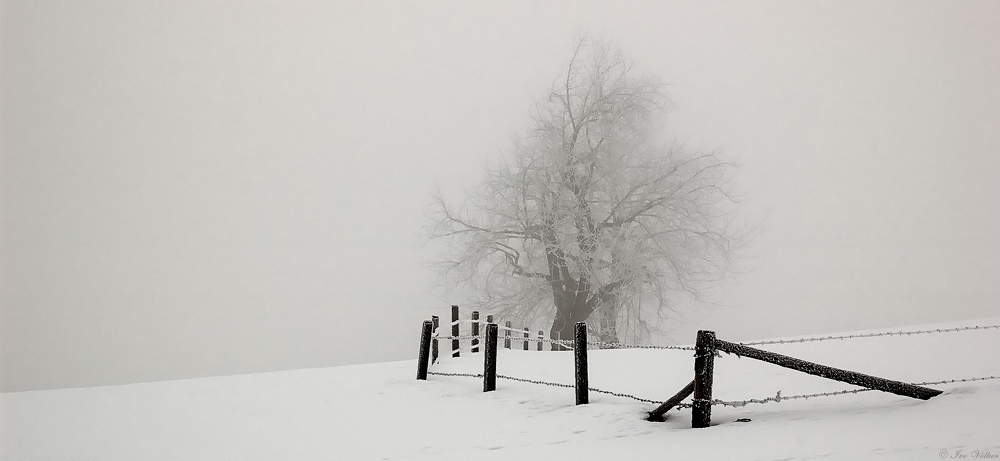 Eisnebel