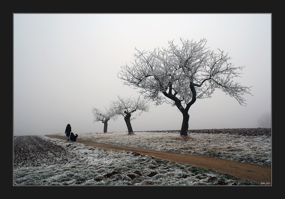 Eisnebel I