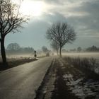 Eisnebel in Schnega Billerbeck