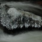 Eispanzer auf einem Stein im Bachlauf