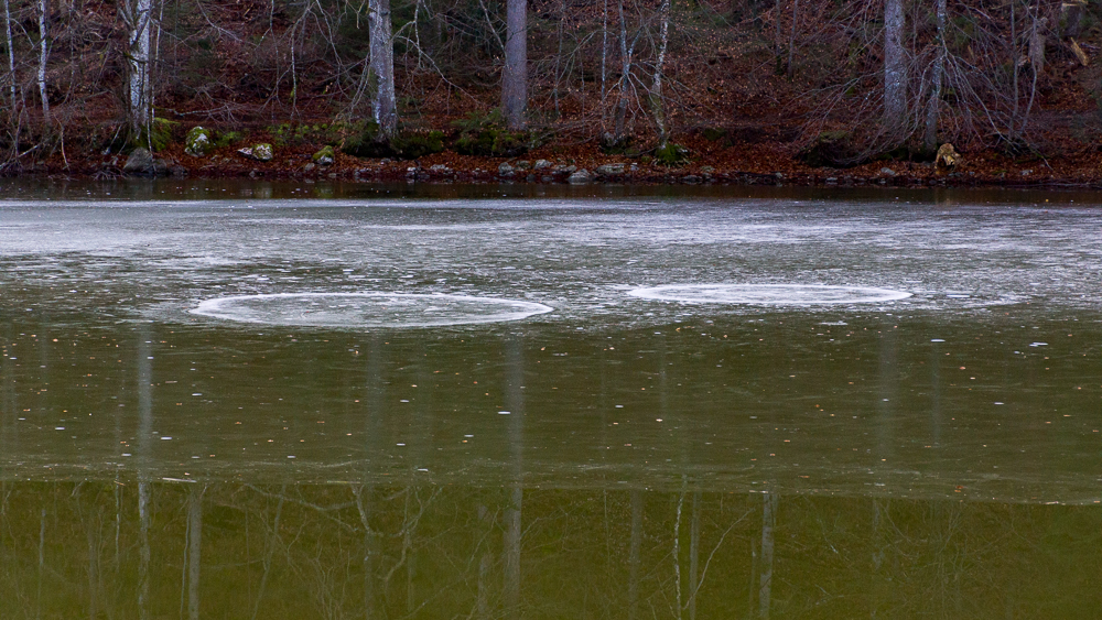 Eisphänomen auf dem Hohenburger Weiher