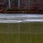 Eisphänomen auf dem Hohenburger Weiher