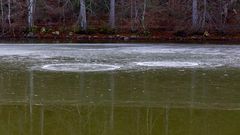 Eisphänomen auf dem Hohenburger Weiher