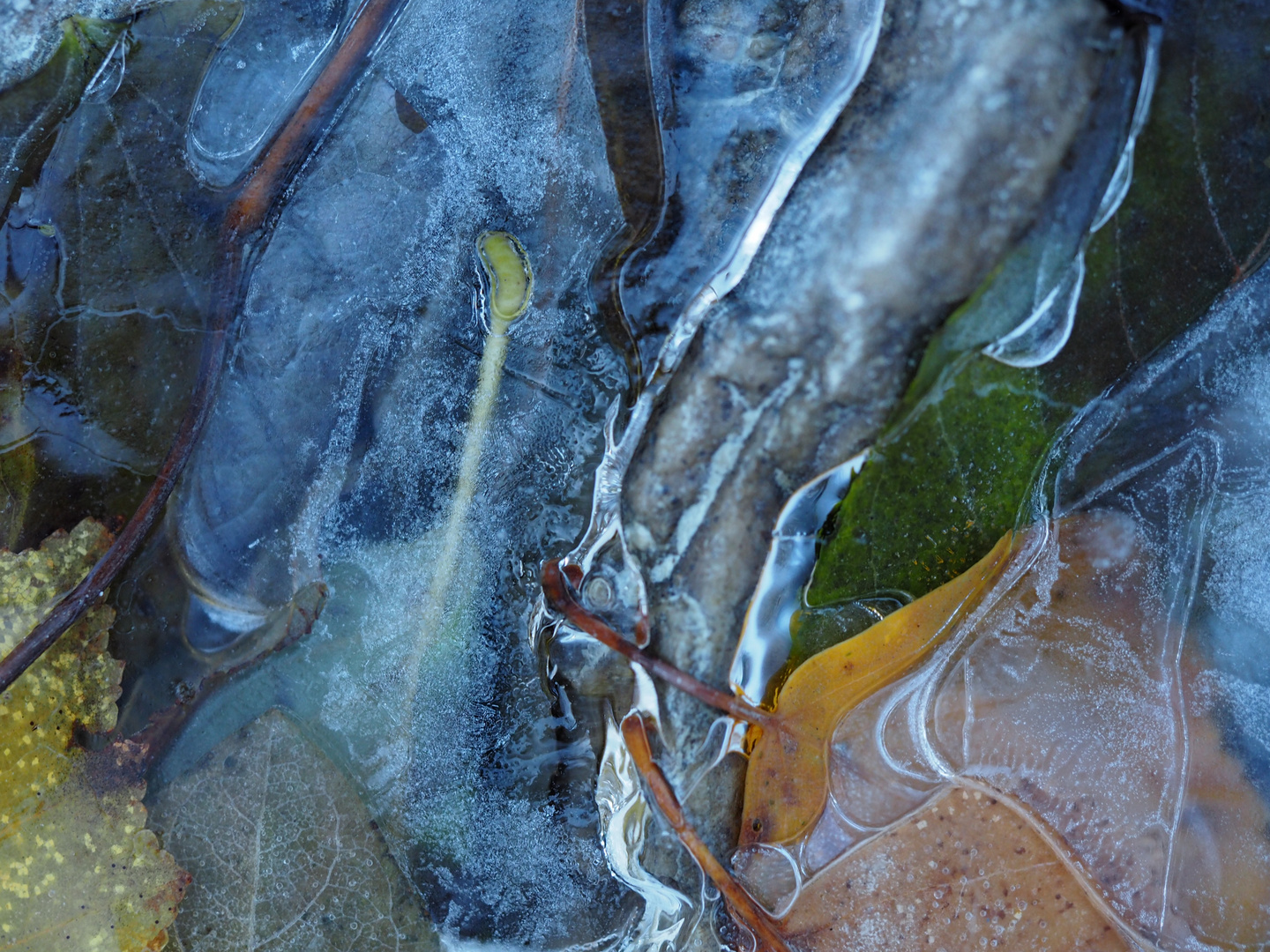 Eisphantasien im Bergbach (2. Foto) - Les fantaisies de la glace dans le ruisseau de montagne.