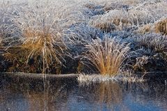 Eispiegelungen im Hochmoor