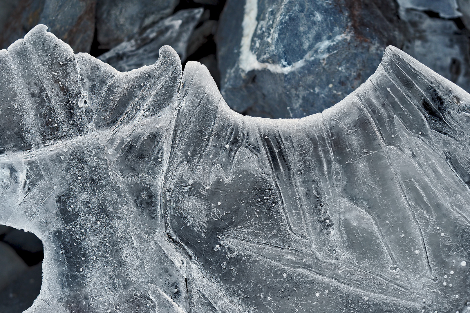 Eisplatte über dem Bergbach  -  Plaque de glace par dessus d'un ruisseau de montagne.