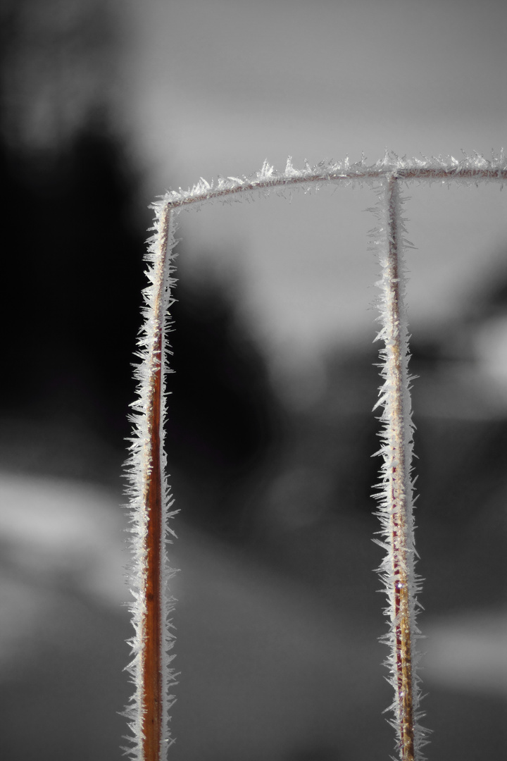 Eisrahmen Foto Bild Jahreszeiten Winter Natur Bilder Auf Fotocommunity