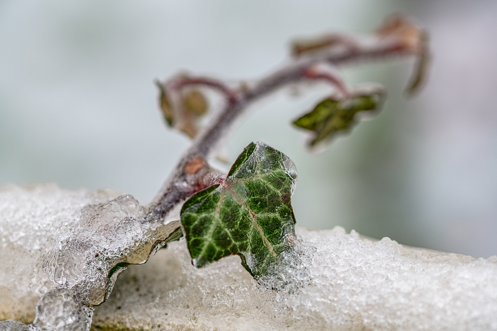 Eisregen ...