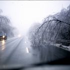 Eisregen 1988 Anfang Dez. Paderborn