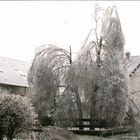 Eisregen 1988 Dez.