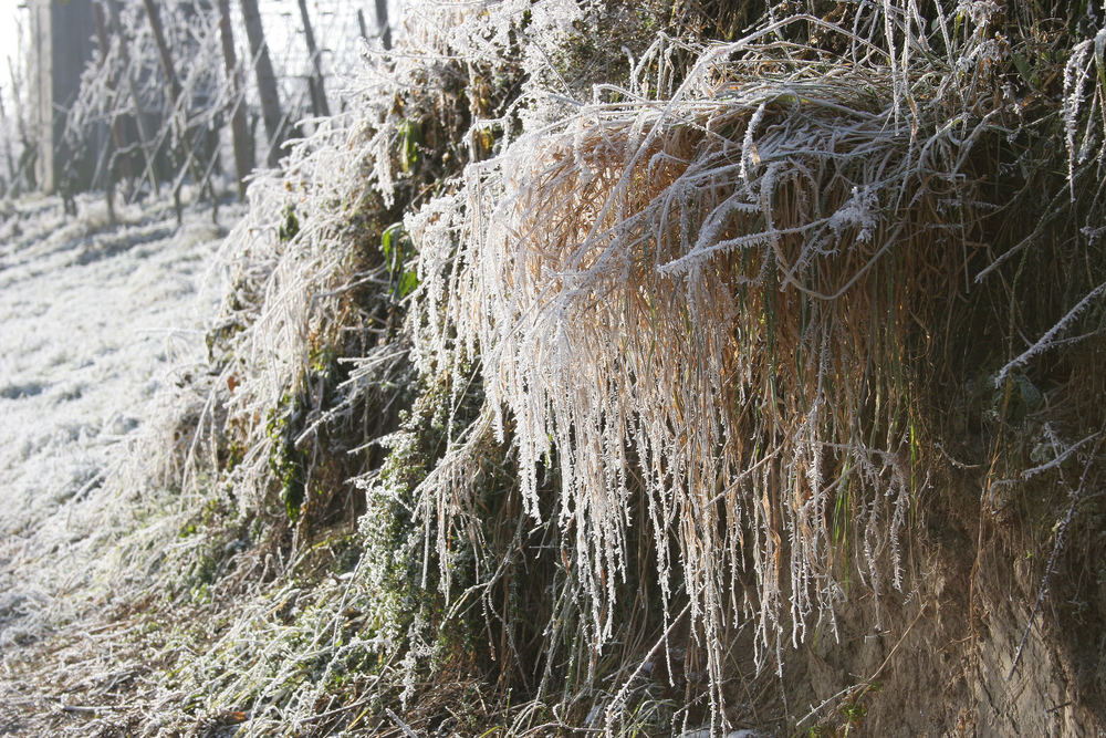 Eisregen