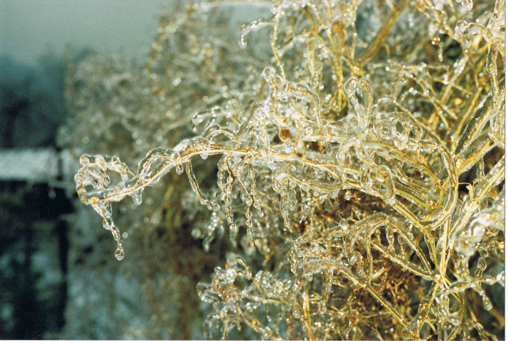 Eisregen von Walter Heuer 