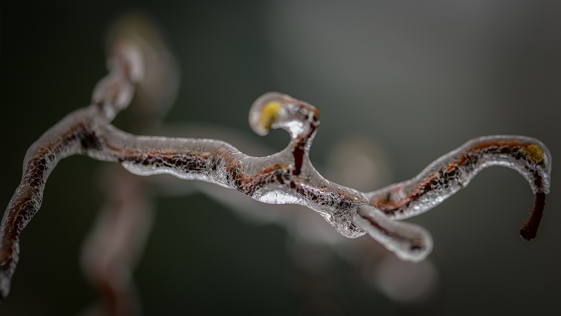 Eisregen ...