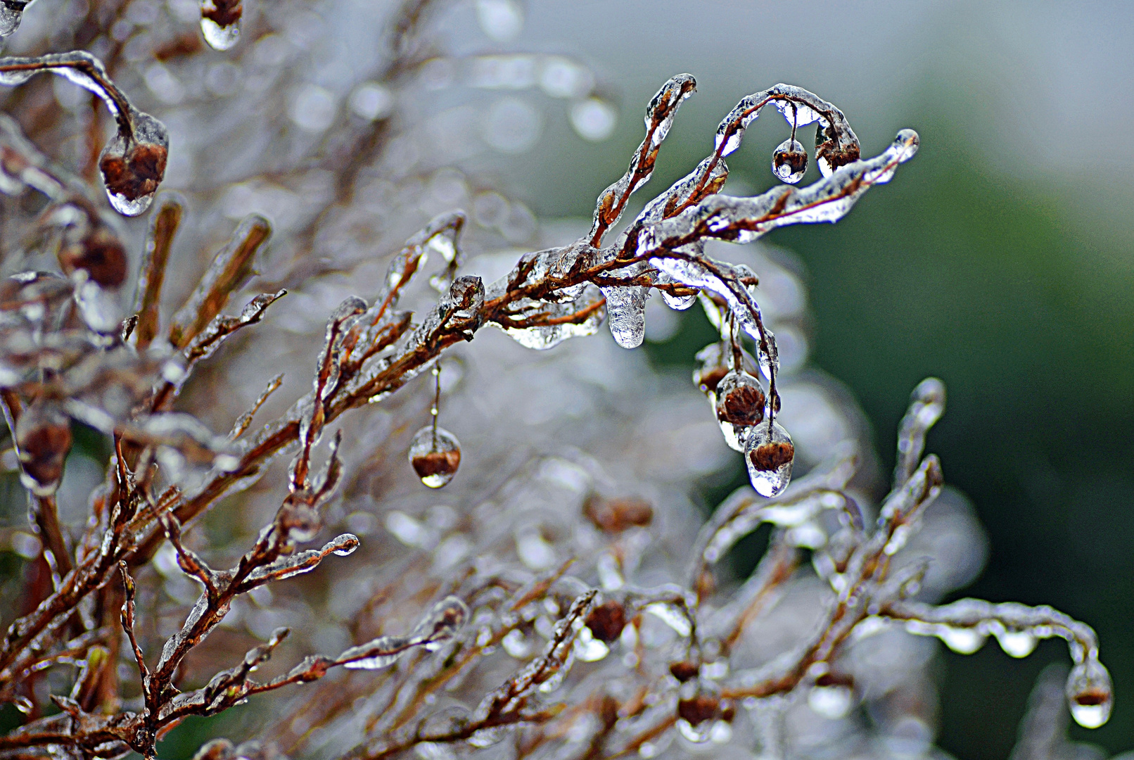 Eisregen