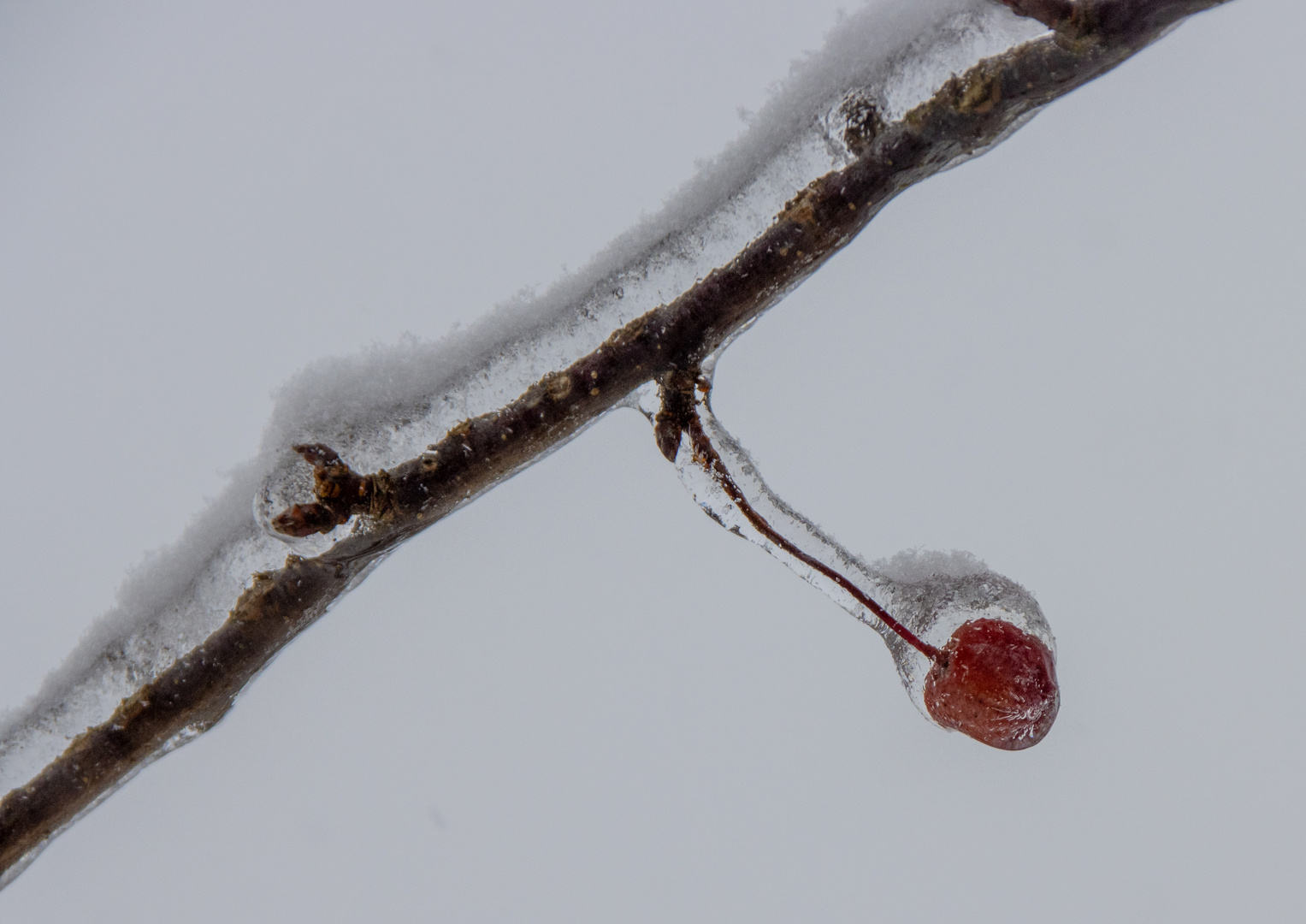 Eisregen...