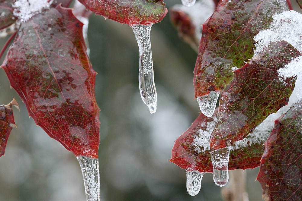 Eisregen