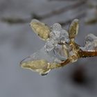 Eisregen-Handballer