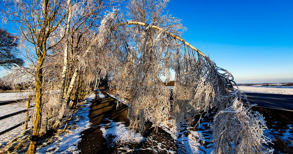 Eisregen in der Eifel im Hürtgenwald