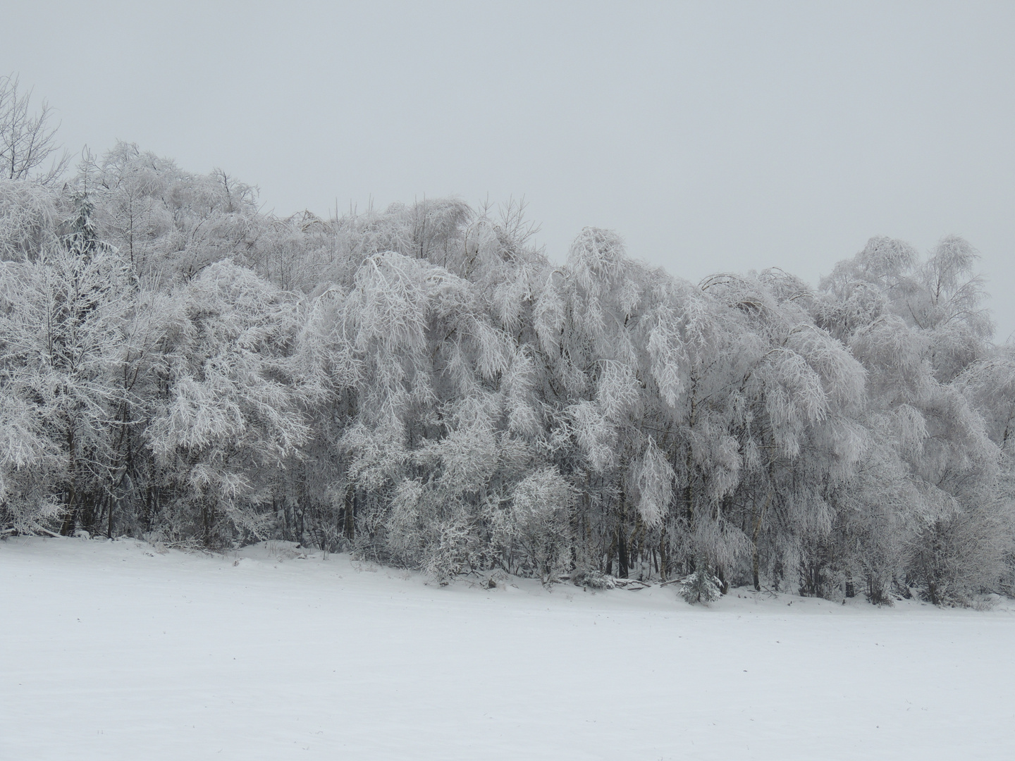 Eisregen und Schnee