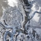 EISREVUE am Großen Feldberg (FullHD 3)