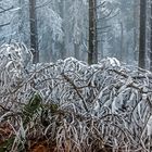 EISREVUE am Großen Feldberg im Taunus (FullHD 11)