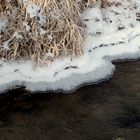 Eissaum in einem Fließgewässer bei Hollenstedt / Northeim.