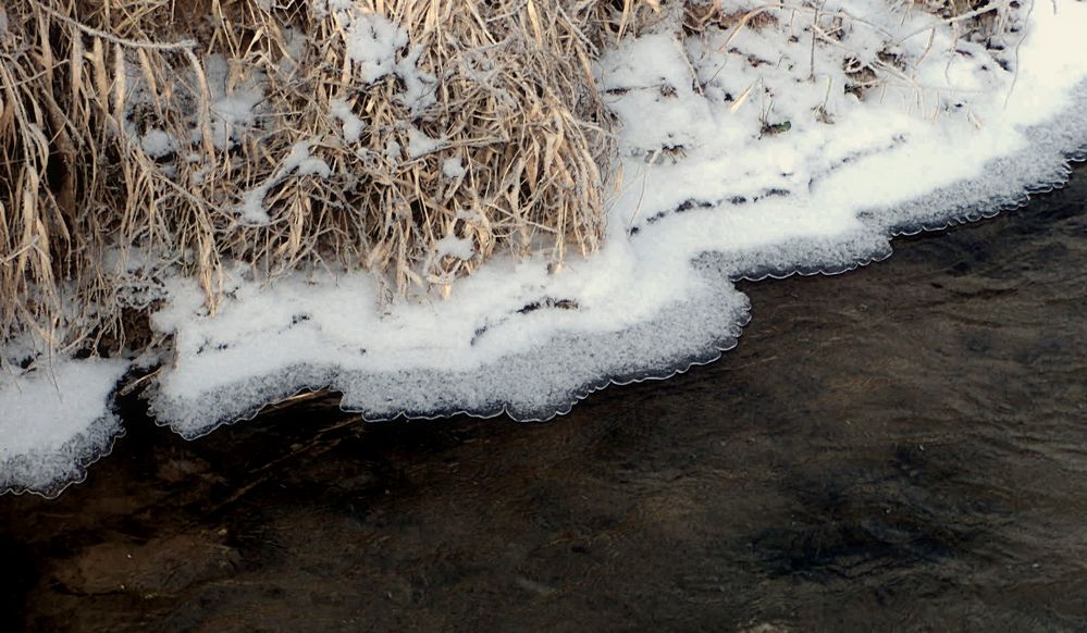 Eissaum in einem Fließgewässer bei Hollenstedt / Northeim.