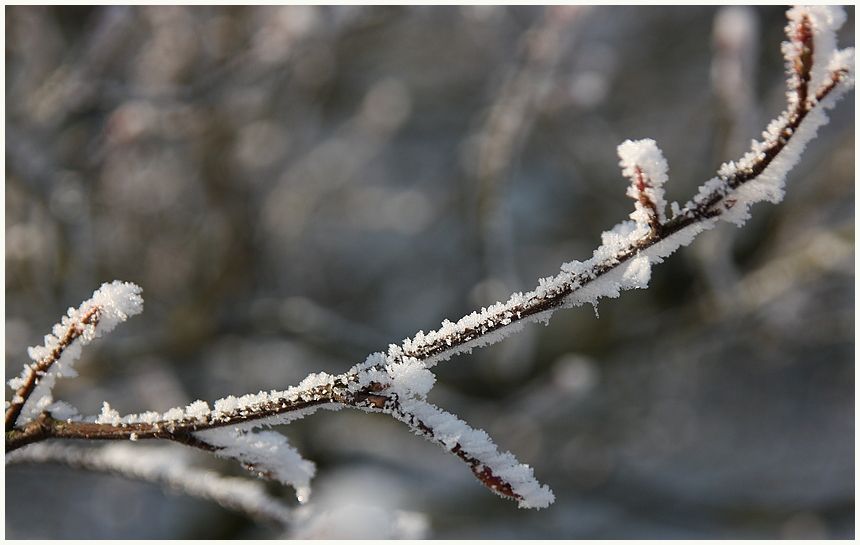 Eisschätze (1)