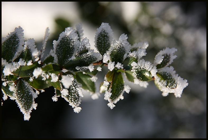 Eisschätze (2)