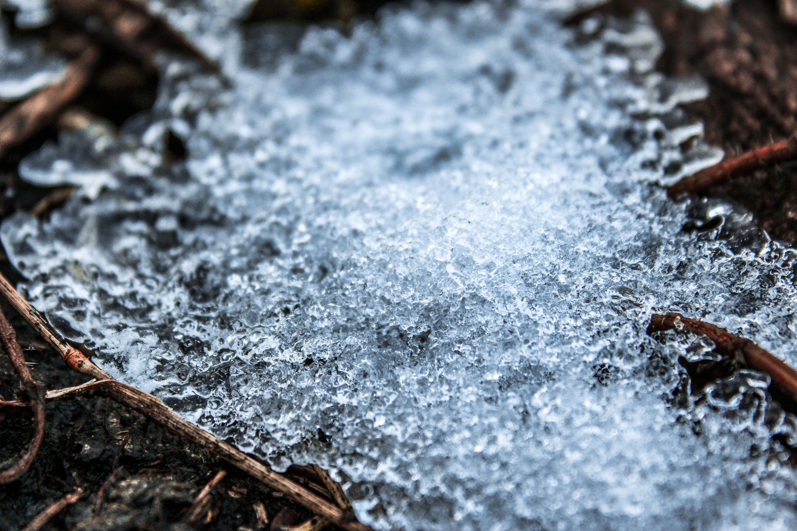 Eisschicht am Waldboden