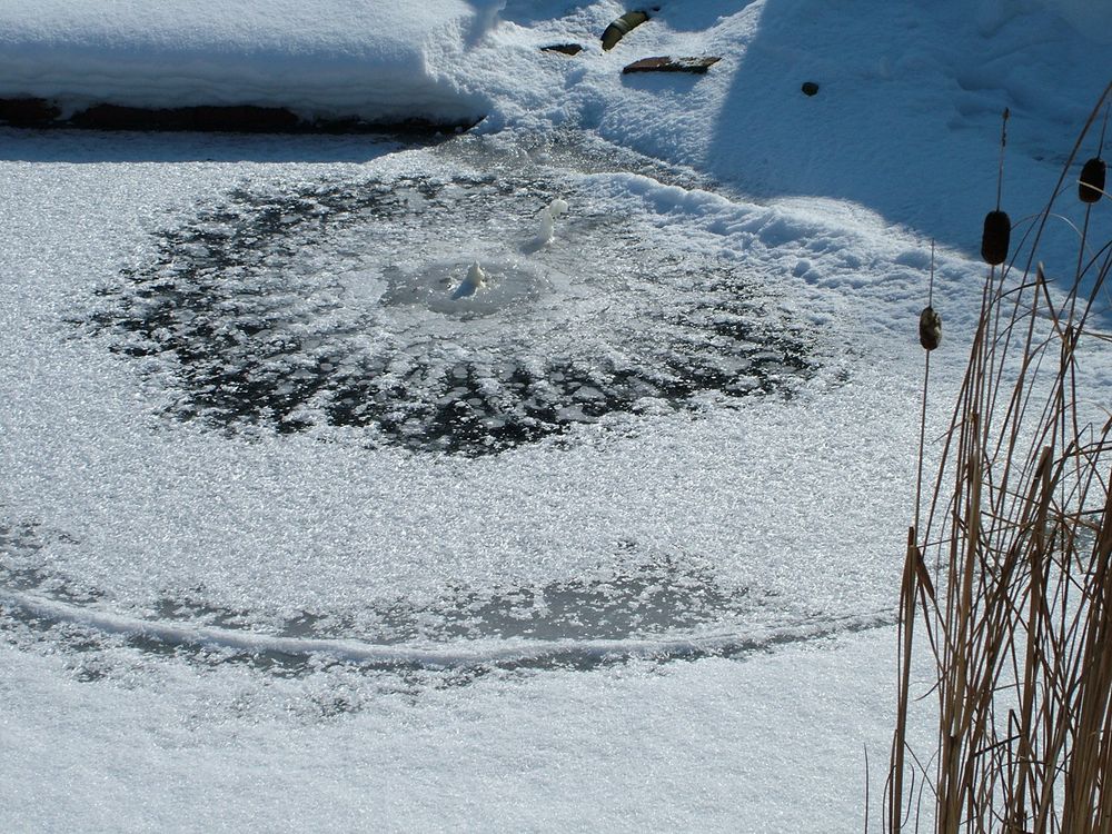 Eisschicht auf dem Teich