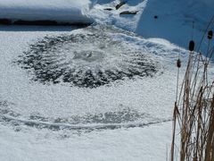 Eisschicht auf dem Teich