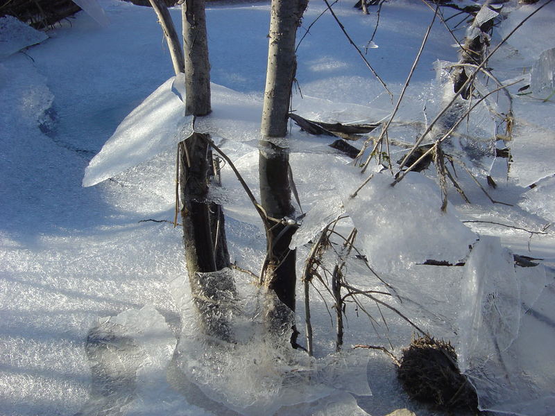 Eisschichten