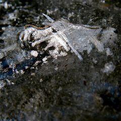 Eisschlange - für Ohnearme!