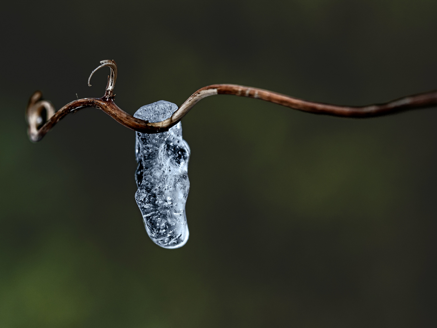 Eisschmuck …….