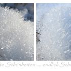 Eisschönheiten ... endlich Schnee!