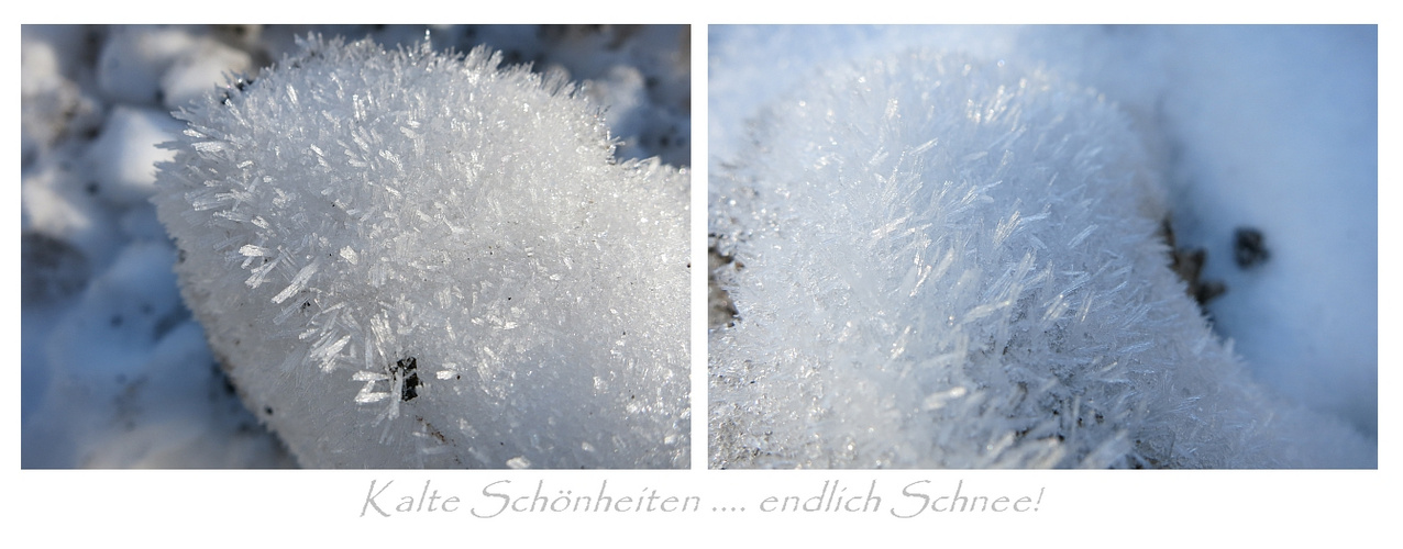 Eisschönheiten ... endlich Schnee!