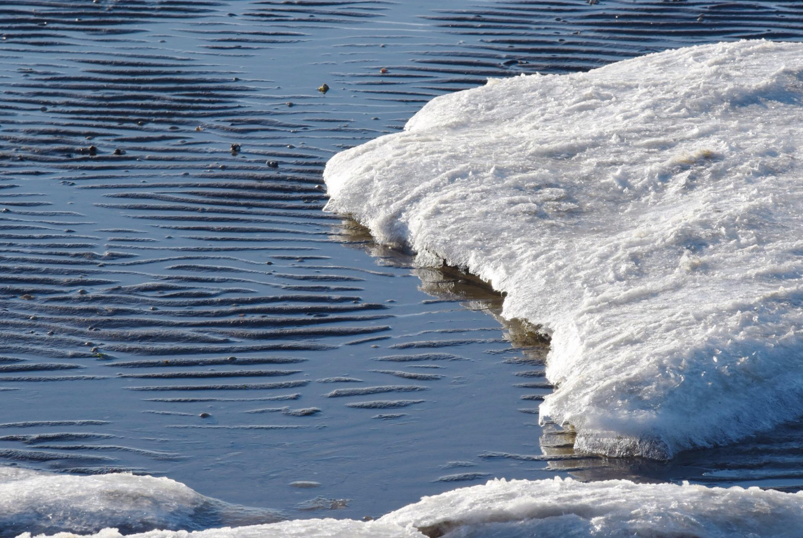 Eisscholle an Schlickwellen