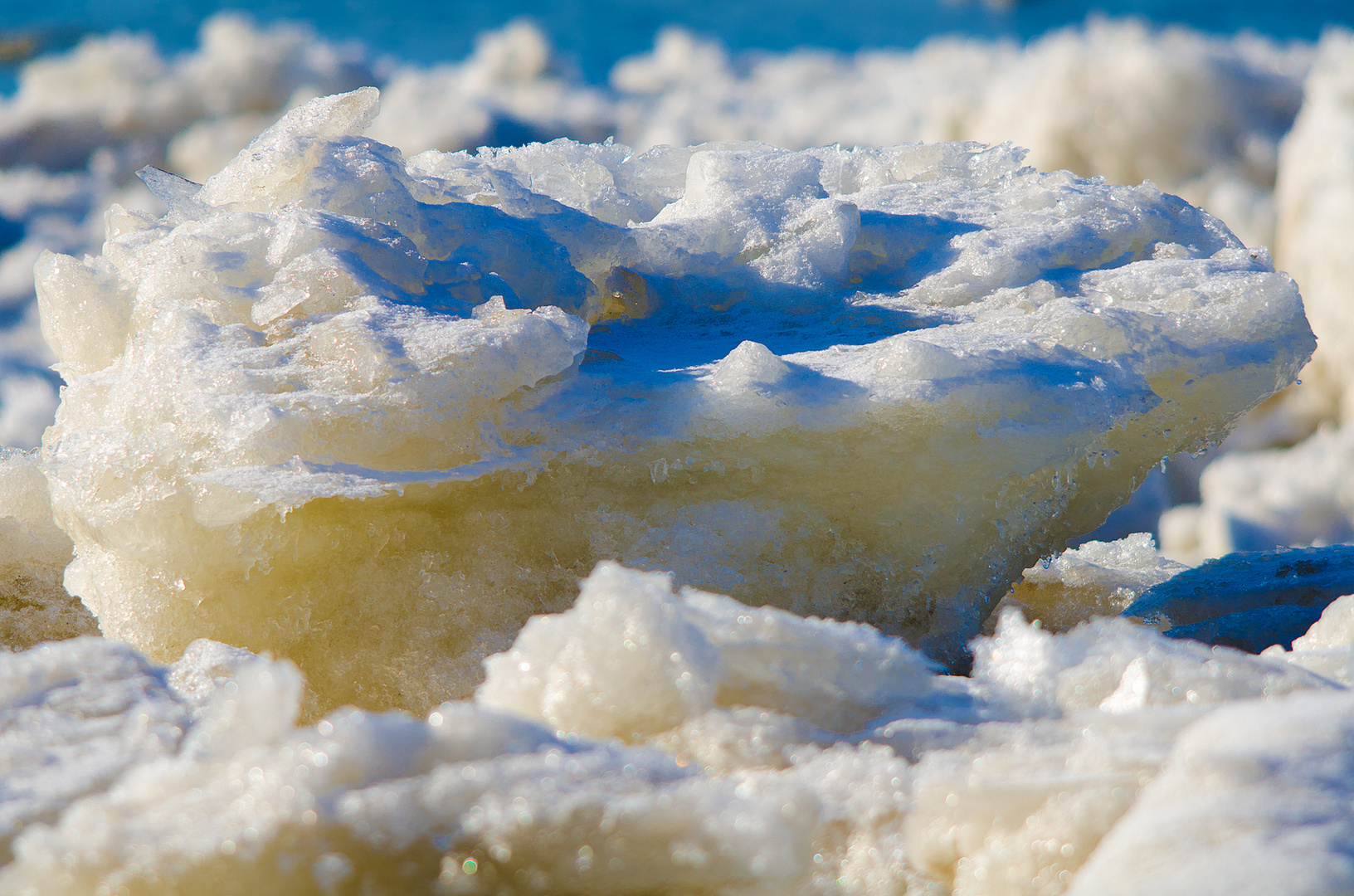 Eisscholle auf der Elbe